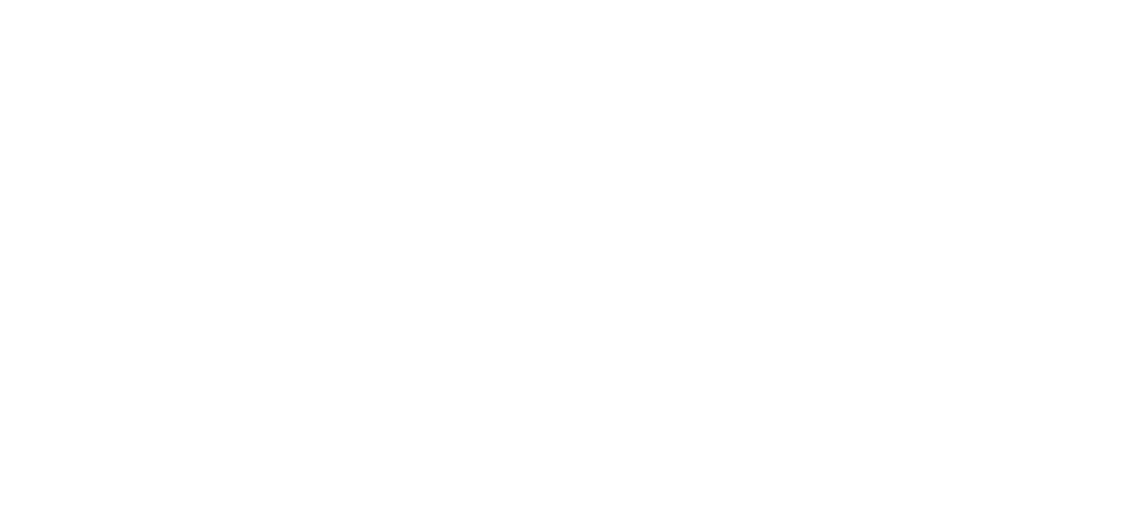 Divi Resorts Logo