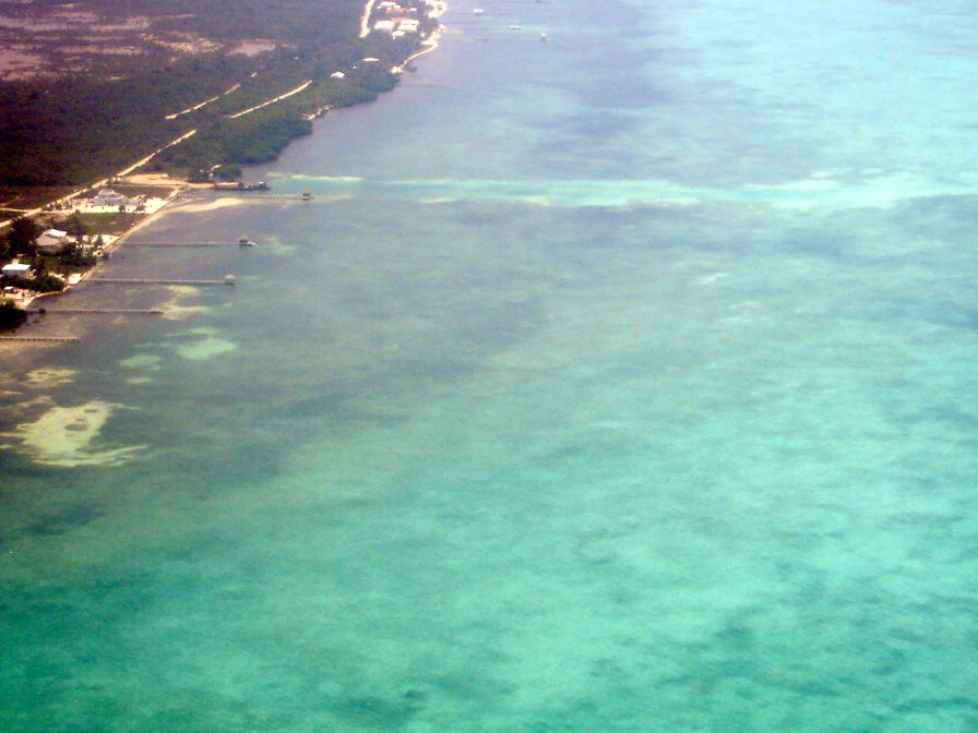 Arial view of the reef