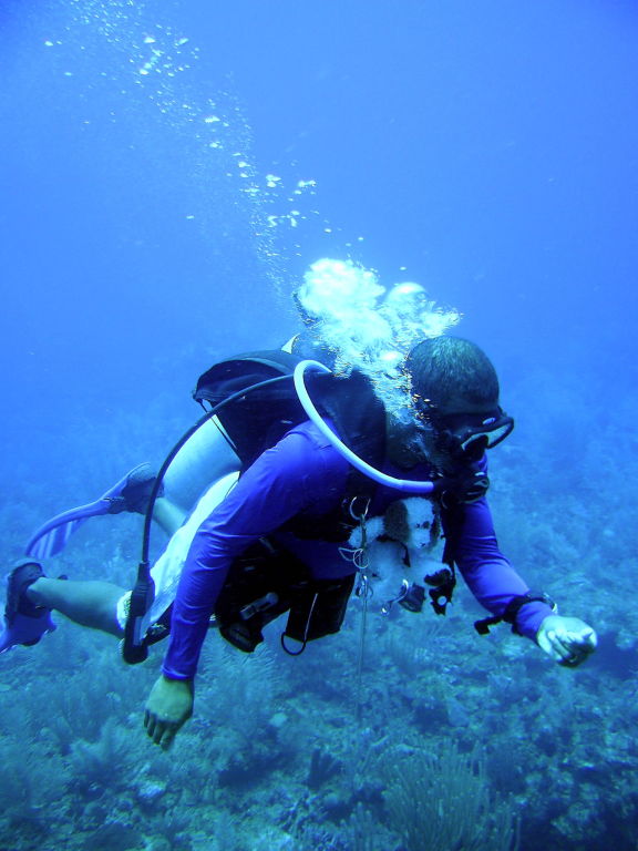 Mike and Puppy diving