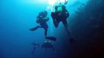 Monday Diving Video