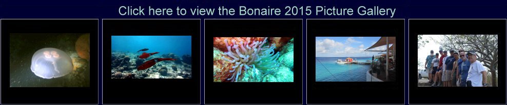 to Bonaire 2015 Photos